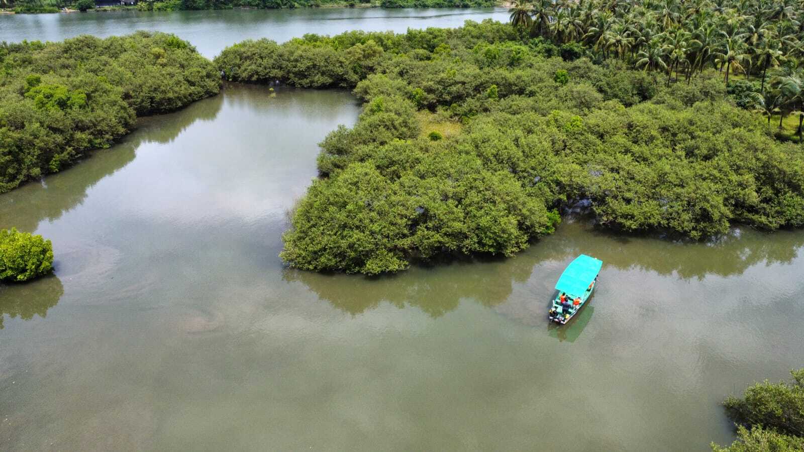 Island Water Adventure